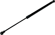 Driver and Passenger Side Liftgate Glass Lift Support