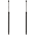 Driver and Passenger Side Liftgate Lift Supports, Set of 2