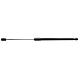 Driver and Passenger Side Trunk Lid Lift Support, Set of 2