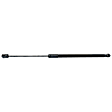 Driver and Passenger Side Trunk Lid Lift Support, Set of 2
