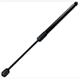 Driver and Passenger Side Trunk Lid Lift Support, Set of 2