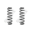 SET-SLX39296-2 Coil Springs, Set of 2