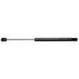 SET-STA4048-2 Driver and Passenger Side Hood Lift Support, Set of 2