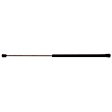 2004 Ford Explorer Sport Trac - Lift Support Hood, Sport Utility