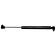 SET-STA4135-2 Driver and Passenger Side Hatch Lift Support, Set of 2