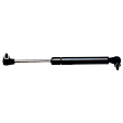 2001 Dodge Durango - Driver and Passenger Side Lift Support Liftgate, Sport Utility