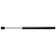 2004 Chevrolet Corvette - Driver and Passenger Side Lift Support Hood, engvin: G, FI, Naturally Aspirated, OHV, GAS, For Hood, Hatchback