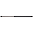 SET-STA4614-2 Driver and Passenger Side Trunk Lid Lift Support, Base 3.8L, 6Cyl, Set of 2