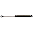 SET-STA4629-2 Driver and Passenger Side Hood Lift Support, Set of 2