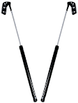 SET-STA4841-2 Driver and Passenger Side Hatch Lift Support, Hatchback, Set of 2