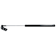 SET-STA4841-2 Driver and Passenger Side Hatch Lift Support, Hatchback, Set of 2