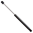 SET-STA6169-2 Driver and Passenger Side Trunk Lid Lift Support, Sedan, Set of 2
