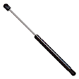 SET-STA6197-2 Driver and Passenger Side Liftgate Lift Support, Sport Utility, Set of 2