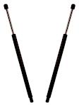 SET-STA6236-2 Driver and Passenger Side Hood Lift Support, Base Sedan 4.3L, 8Cyl, Set of 2