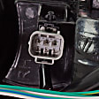 Driver and Passenger Side Halogen Tail Light, With bulb(s), OE Replacement