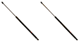 SET-TRWTSG129003-2 Driver and Passenger Side Trunk Lid Lift Support, Set of 2