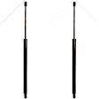 SET-TRWTSG204001-2 Driver and Passenger Side Liftgate Lift Support, Set of 2