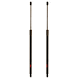SET-TRWTSG214071-2 Driver and Passenger Side Liftgate Lift Support, Set of 2