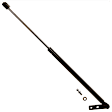 SET-TRWTSG226009 Driver and Passenger Side Liftgate Lift Support, Set of 2