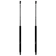SET-TRWTSG230007-2 Driver and Passenger Side Trunk Lid Lift Support, Set of 2