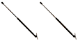 SET-TRWTSG230061-2 Driver and Passenger Side Hood Lift Support, 3.0L, 6Cyl, Set of 2