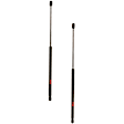 SET-TRWTSG230093-2 Driver and Passenger Side Liftgate Lift Support, 4.3L, 6Cyl, Set of 2