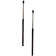 SET-TRWTSG301064-2 Driver and Passenger Side Trunk Lid Lift Support, Set of 2