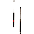 SET-TRWTSG301078-2 Driver and Passenger Side Liftgate Lift Support, Set of 2