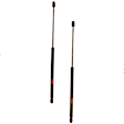 SET-TRWTSG303079-2 Driver and Passenger Side Liftgate Lift Support, Set of 2