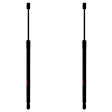 SET-TRWTSG304074-2 Driver and Passenger Side Liftgate Lift Support, 2.0L, 4Cyl, Set of 2