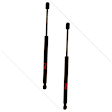 SET-TRWTSG304095-2 Driver and Passenger Side Hood Lift Support, Set of 2
