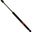 SET-TRWTSG304095-2 Driver and Passenger Side Hood Lift Support, Set of 2