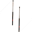SET-TRWTSG315018-2 Driver and Passenger Side Liftgate Lift Support, Sport Utility, Set of 2
