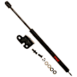 SET-TRWTSG325007R Driver and Passenger Side Hood Lift Support, 3.0L, 6Cyl, Set of 2