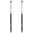 SET-TRWTSG325023-2 Driver and Passenger Side Liftgate Lift Support, Set of 2