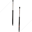 SET-TRWTSG327007-B Driver and Passenger Side Back Glass, Liftgate Lift Support, Set of 2