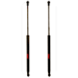 SET-TRWTSG329046-2 Driver and Passenger Side Liftgate Lift Support, 1.5L, 4Cyl, Set of 2