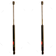SET-TRWTSG365002-2 Driver and Passenger Side Liftgate Lift Support, 2.0L, 4Cyl, Set of 2