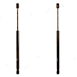 SET-TRWTSG366011-2 Driver and Passenger Side Trunk Lid Lift Support, 4.2L, 8Cyl, Set of 2