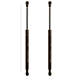 SET-TRWTSG402043-2 Driver and Passenger Side Trunk Lid Lift Support, Base, Set of 2