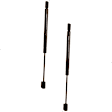 SET-TRWTSG404025-2 Driver and Passenger Side Hood Lift Support, Set of 2