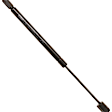 SET-TRWTSG404025-2 Driver and Passenger Side Hood Lift Support, Set of 2