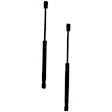 SET-TRWTSG406030-2 Driver and Passenger Side Trunk Lid Lift Support, Carrera 4 Convertible 3.6L, 6Cyl, Set of 2