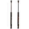 SET-TRWTSG418007-2 Driver and Passenger Side Trunk Lid Lift Support, Convertible, Set of 2