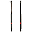 SET-TRWTSG425003-2 Driver and Passenger Side Hood Lift Support, 5.6L, 8Cyl, Set of 2