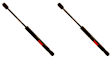 SET-TRWTSG427001-2 Driver and Passenger Side Trunk Lid Lift Support, Set of 2