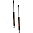 SET-TRWTSG429033-2 Driver and Passenger Side Trunk Lid Lift Support, Base, Set of 2