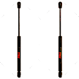 SET-TRWTSG430015-2 Driver and Passenger Side Trunk Lid Lift Support, Set of 2