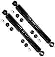 SET-TS37032-R Rear, Driver and Passenger Side Shock, OESpectrum Truck Series