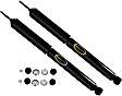 SET-TS37132 Rear, Driver and Passenger Side Shock, RWD, OESpectrum Truck Series
